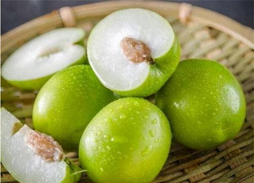 树青学院吃瓜,揭秘校园里的“吃瓜”风云