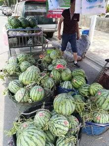 临海花店老板吃瓜事件,引发网友热议