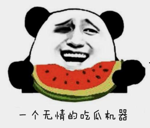 不离吃瓜全文