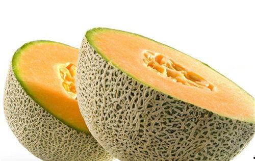 吃鱼肉与吃哈密瓜能行吗,健康搭配的饮食新选择