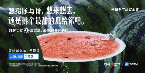 找瓜吃的文案,跟随文案寻找夏日清凉