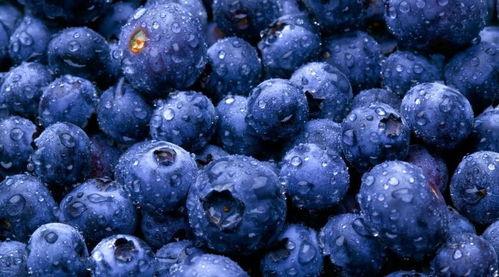 吃瓜恶魔蓝莓视频,一场网络视频的狂欢与争议