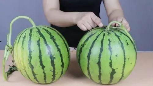 吃二甲酸瓜会不会脚肿,二甲酸瓜食用与脚肿风险解析